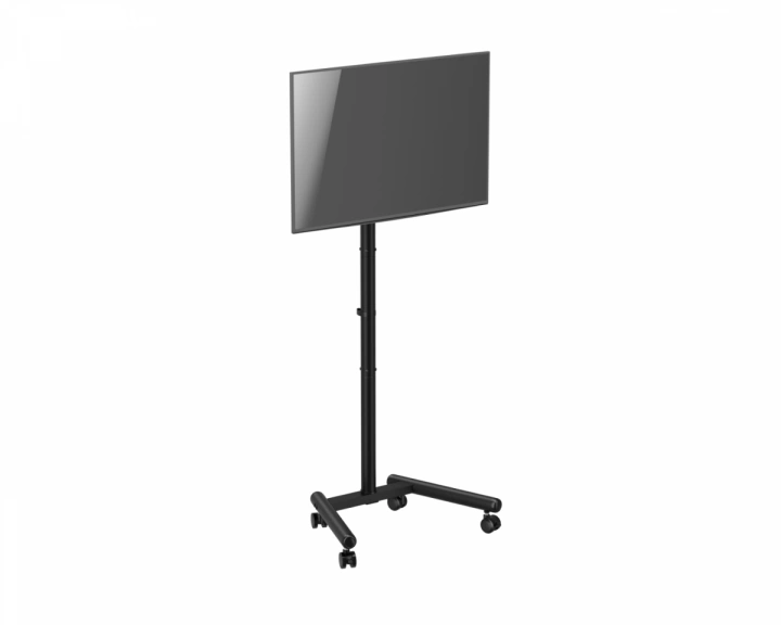 TV-skärm